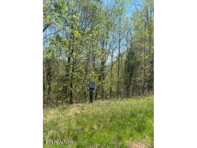 :Easonal Lake views of Norris Lake from this large wooded lot in - photo 1