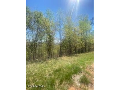 :Easonal Lake views of Norris Lake from this large wooded lot in - photo 2