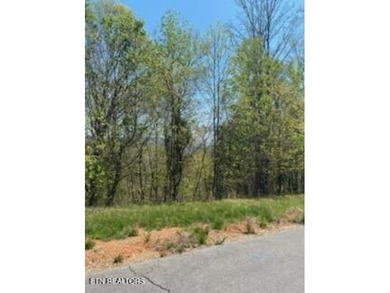 :Easonal Lake views of Norris Lake from this large wooded lot in - photo 3