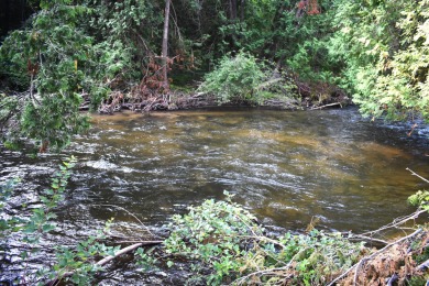 Lake Lot For Sale in Wolverine, Michigan