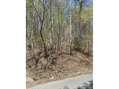 : Large building lot in highly desirable Rock Harbot subdivision - photo 2