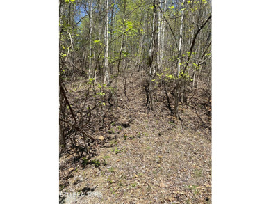 : Large building lot in highly desirable Rock Harbot subdivision - photo 4