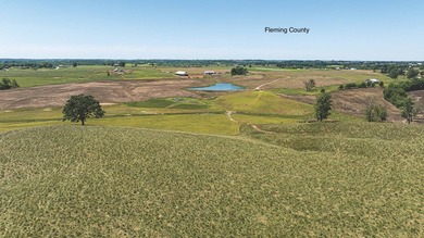 - QUALITY MAINTENANCE AND STEWARDSHIP - EXCELLENT SOILS - - photo 12
