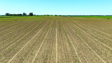 - QUALITY MAINTENANCE AND STEWARDSHIP - EXCELLENT SOILS - - photo 14