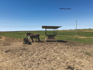 - QUALITY MAINTENANCE AND STEWARDSHIP - EXCELLENT SOILS - - photo 20