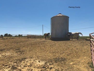 - QUALITY MAINTENANCE AND STEWARDSHIP - EXCELLENT SOILS - - photo 23