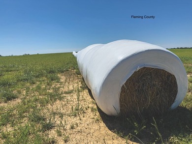 - QUALITY MAINTENANCE AND STEWARDSHIP - EXCELLENT SOILS - - photo 26
