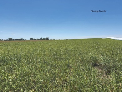 - QUALITY MAINTENANCE AND STEWARDSHIP - EXCELLENT SOILS - - photo 27