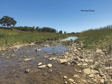 - QUALITY MAINTENANCE AND STEWARDSHIP - EXCELLENT SOILS - - photo 34
