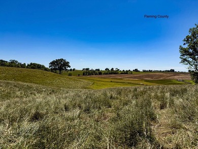 - QUALITY MAINTENANCE AND STEWARDSHIP - EXCELLENT SOILS - - photo 35