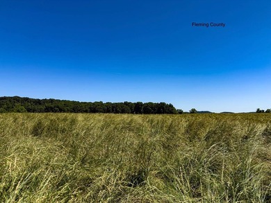 - QUALITY MAINTENANCE AND STEWARDSHIP - EXCELLENT SOILS - - photo 36