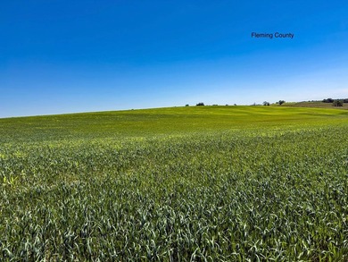 - QUALITY MAINTENANCE AND STEWARDSHIP - EXCELLENT SOILS - - photo 46