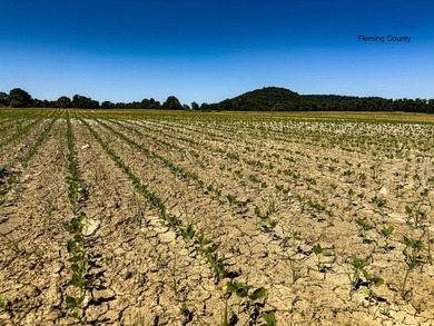 - QUALITY MAINTENANCE AND STEWARDSHIP - EXCELLENT SOILS - - photo 47