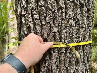 (private lake, pond, coastal) Acreage For Sale in Furman Alabama