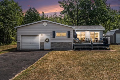 Lake Home For Sale in Fountain, Michigan