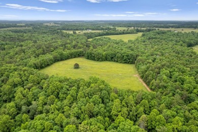 (private lake, pond, creek) Acreage For Sale in Deer Lodge Tennessee