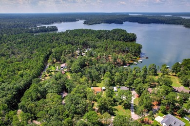 Lakefront living at its best! This property features a private - photo 44