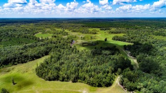 (private lake) Acreage For Sale in Greenville Florida