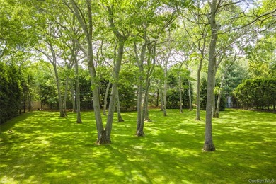 The adjoining rear lot may be one of the most interesting parts - photo 4