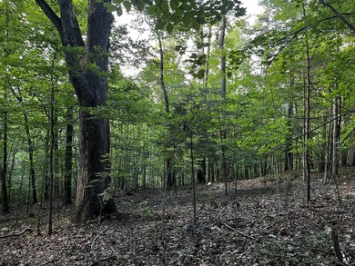 Pond-front, 2.97 acre lot in beautiful Runaway Bay with access - photo 11