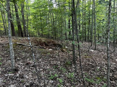 Pond-front, 2.97 acre lot in beautiful Runaway Bay with access - photo 12