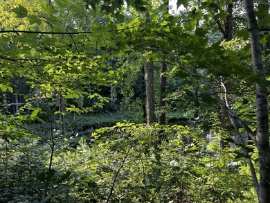 Pond-front, 2.97 acre lot in beautiful Runaway Bay with access - photo 14