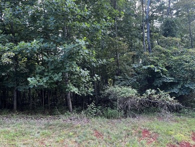 Pond-front, 2.97 acre lot in beautiful Runaway Bay with access - photo 15