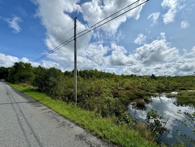 (private lake, pond, coastal) Acreage For Sale in Palmyra Maine