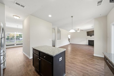 Located in sought-after Eagles Rest, one of Chapin's most - photo 9