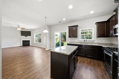 Located in sought-after Eagles Rest, one of Chapin's most - photo 10