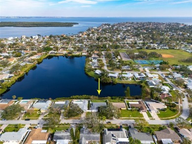 Lake Home Sale Pending in St. Petersburg, Florida