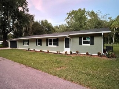 Lake Panasoffkee Home For Sale in Lake Panasoffkee Florida