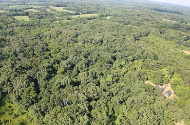 This large tract of exceptional hardwood timber offers a wide - photo 2