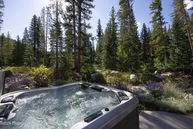 Tucked among mature evergreens in one of Breckenridge's most - photo 38
