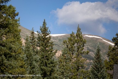 Tucked among mature evergreens in one of Breckenridge's most - photo 41