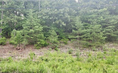 Come build your home on this .65 acre lot in this established - photo 1