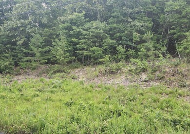 Come build your home on this .65 acre lot in this established - photo 2