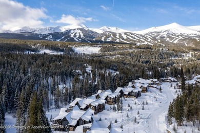 Tucked among mature evergreens in one of Breckenridge's most - photo 43