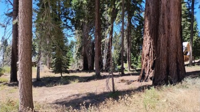 (private lake, pond, creek) Lot For Sale in Sequoia Crest California
