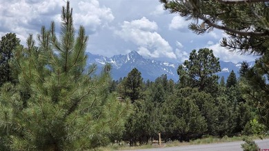 Anna Schroedel, United Country Sneffels Realty, C:,,: Fantastic - photo 1