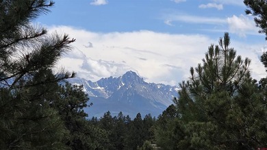 Anna Schroedel, United Country Sneffels Realty, C:,,: Fantastic - photo 2