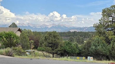 Anna Schroedel, United Country Sneffels Realty, C:,,: Fantastic - photo 4