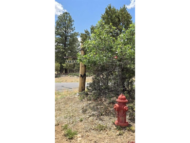 Anna Schroedel, United Country Sneffels Realty, C:,,: Fantastic - photo 5