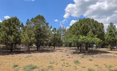 Anna Schroedel, United Country Sneffels Realty, C:,,: Fantastic - photo 6
