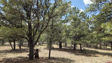 Anna Schroedel, United Country Sneffels Realty, C:,,: Fantastic - photo 8