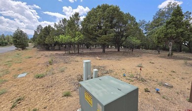 Anna Schroedel, United Country Sneffels Realty, C:,,: Fantastic - photo 10