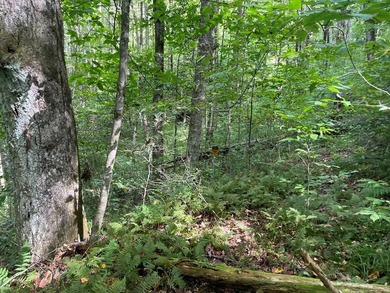 Beautiful lot with lake access to park/picnic area. Borders U.S - photo 11