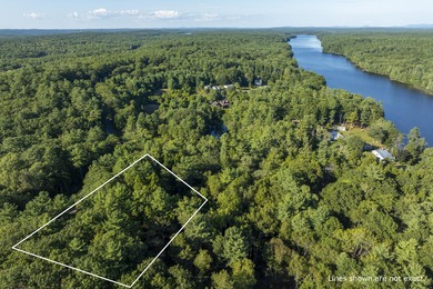 Biscay Pond Lot For Sale in Bristol Maine