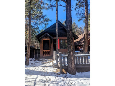 Cozy Rustic Cabin Retreat in Sugarloaf - Your Big Bear Getaway! - photo 11