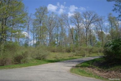 Lake Ogemaw Acreage For Sale in Mills Michigan
